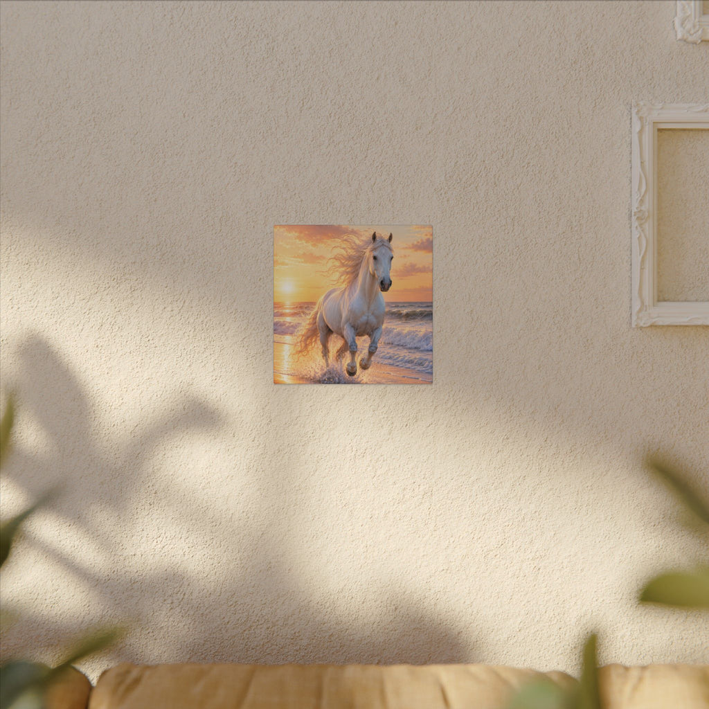 White Horse on Beach Canvas Print — Sunset Seaside Wall Art