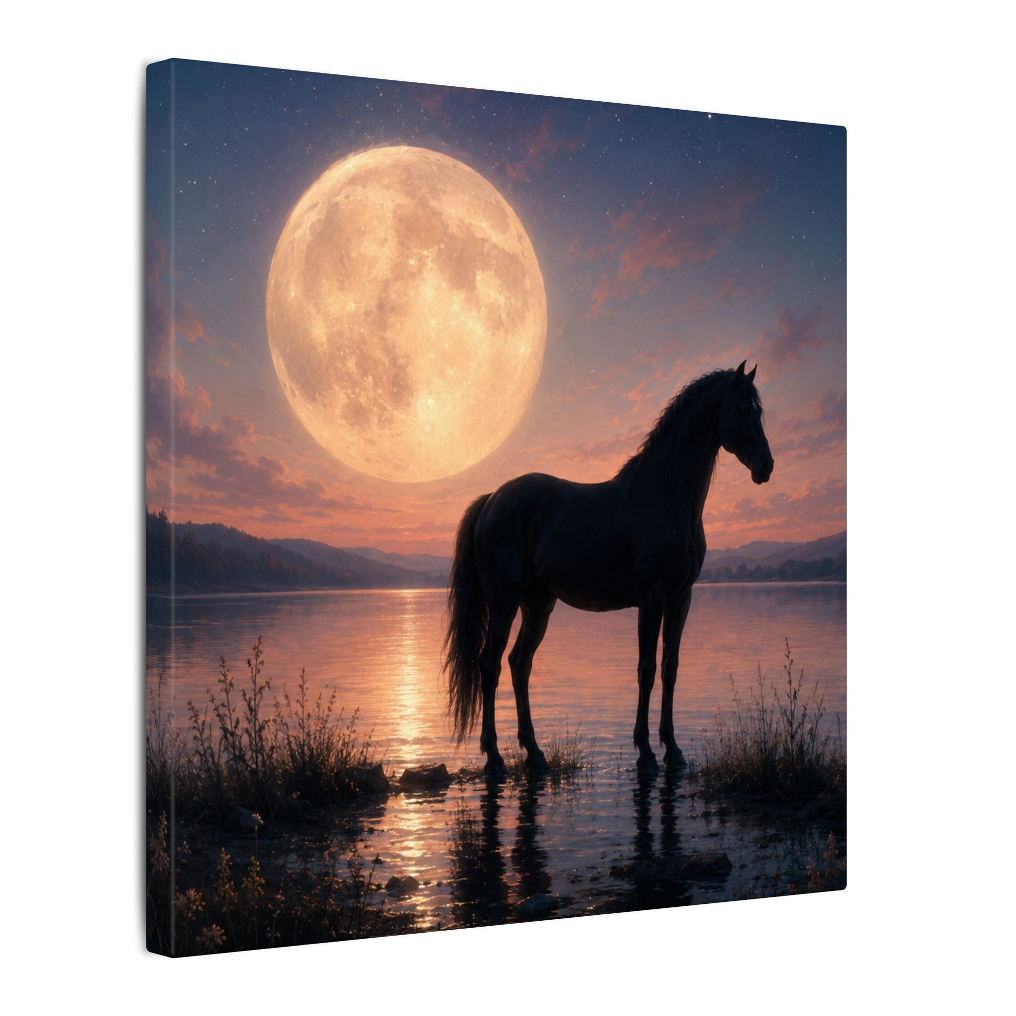Horse Silhouette Moonlight Canvas