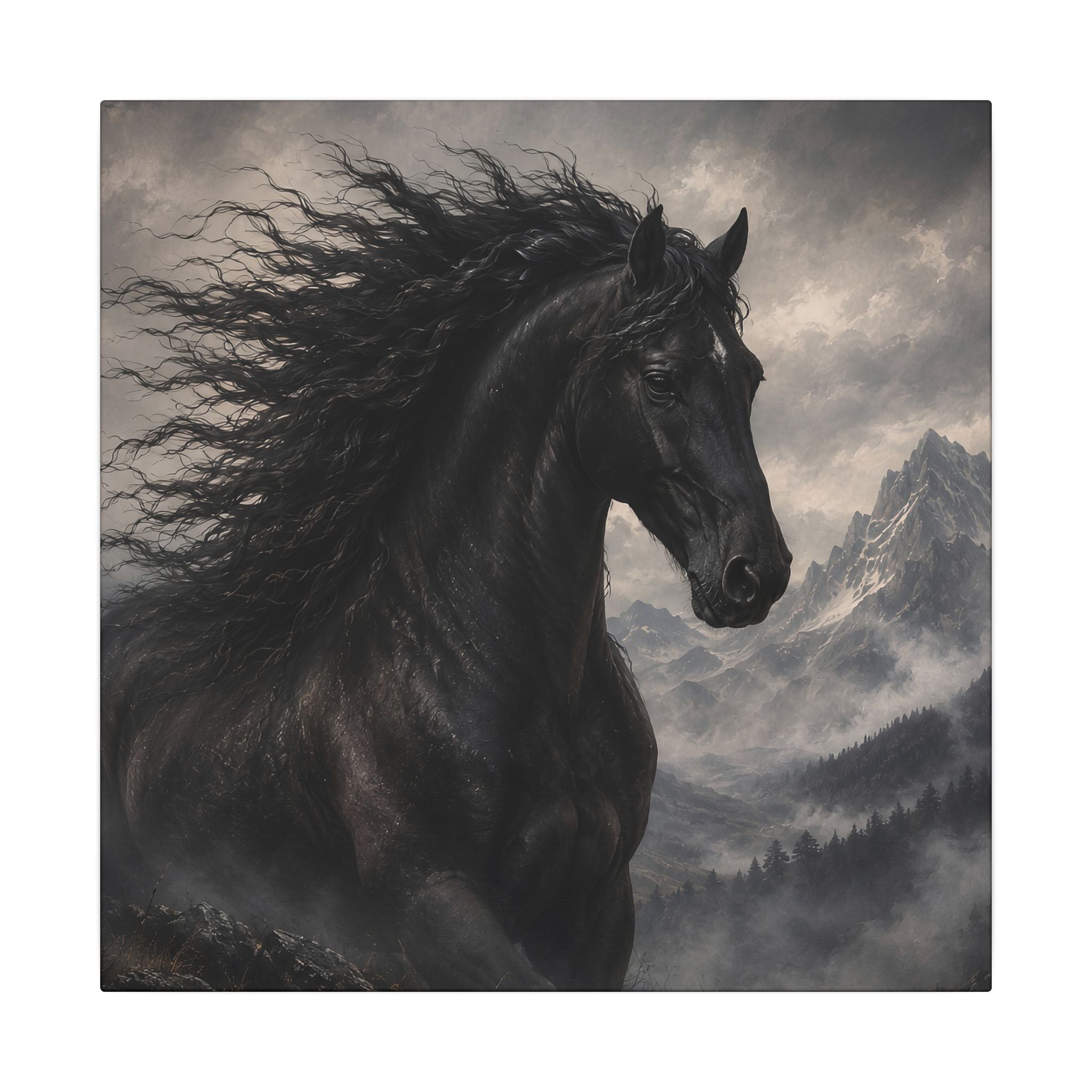 Majestic Black Horse Matte Canvas Wall Art — Dramatic Mountain Stallion Print