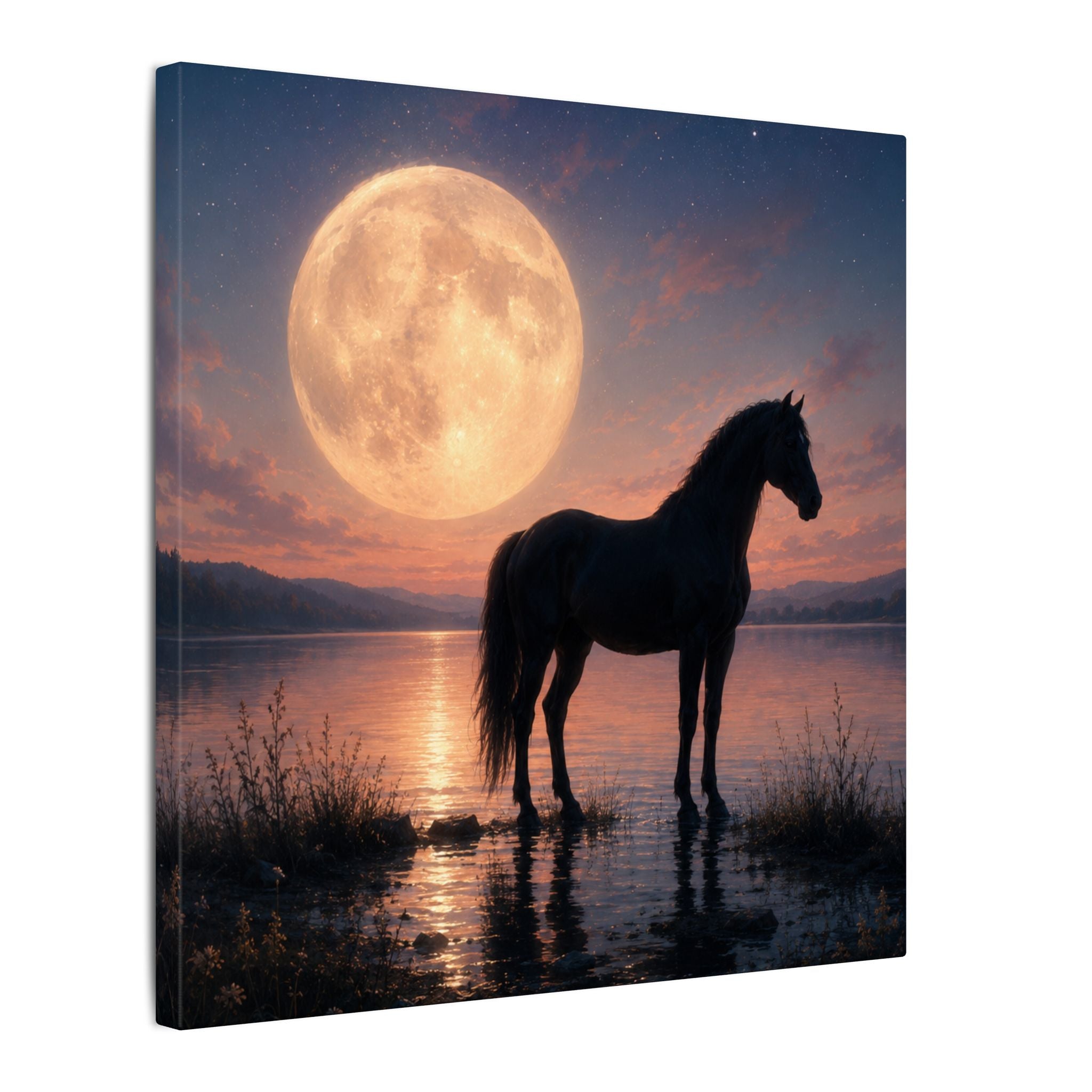 Horse Silhouette Moonlight Canvas