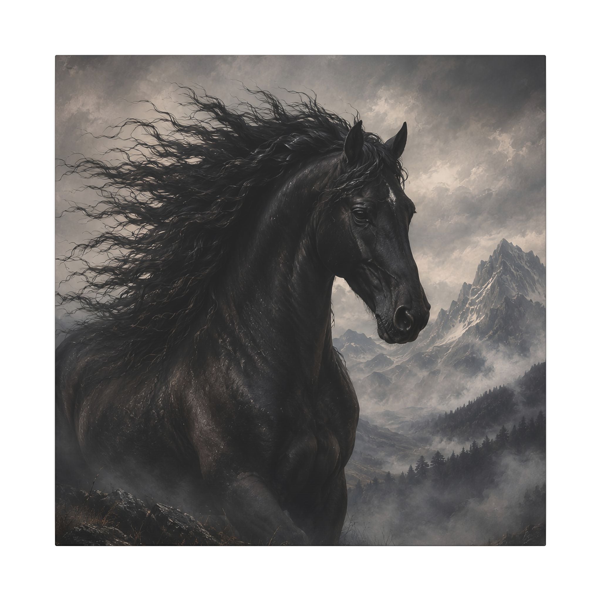 Majestic Black Horse Matte Canvas Wall Art — Dramatic Mountain Stallion Print