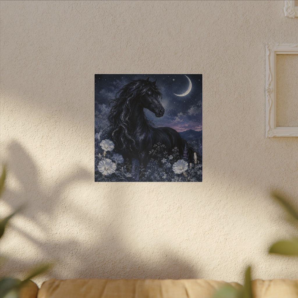Midnight Stallion Canvas — Black Horse Moonlit Wall Art
