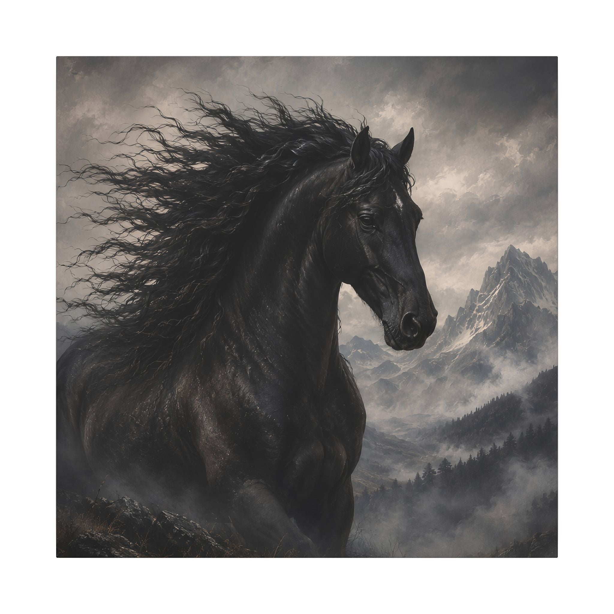 Majestic Black Horse Matte Canvas Wall Art — Dramatic Mountain Stallion Print