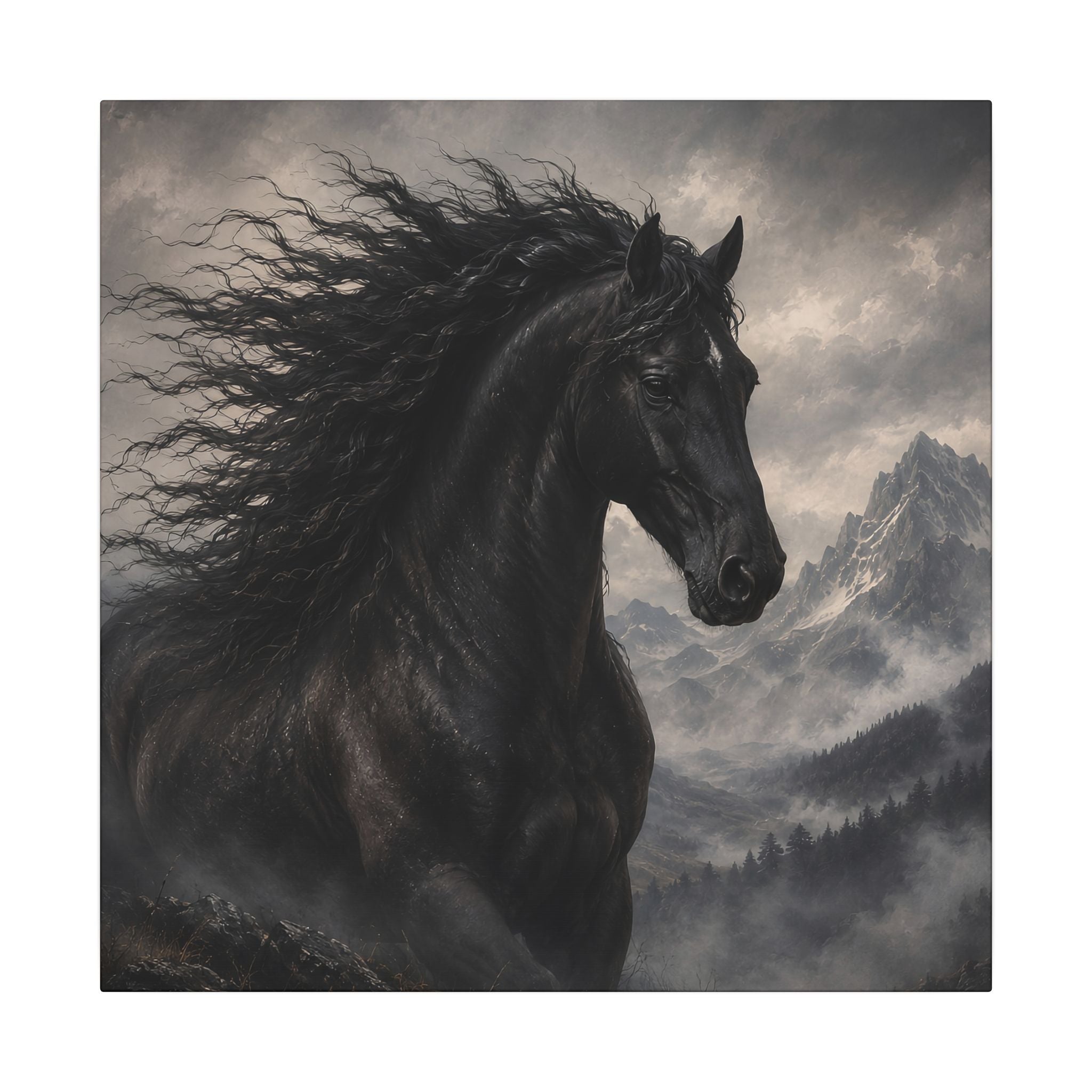 Majestic Black Horse Matte Canvas Wall Art — Dramatic Mountain Stallion Print