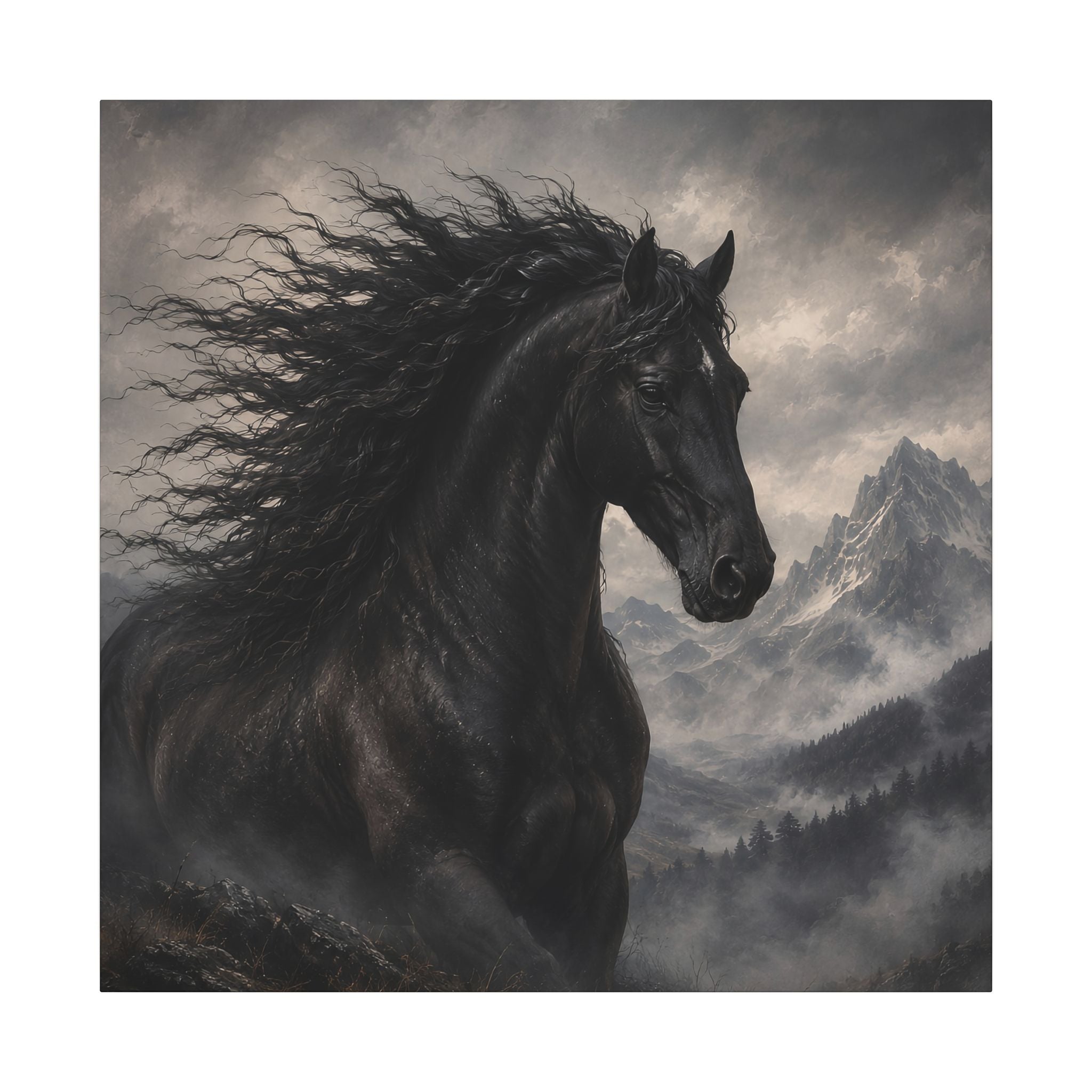 Majestic Black Horse Matte Canvas Wall Art — Dramatic Mountain Stallion Print
